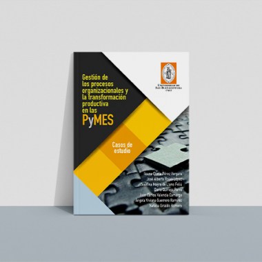 gestion_procesos_pymes2